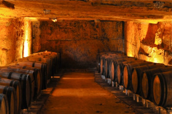Pomerol Séduction <br> Un week-end à vélo dans le Bordelais